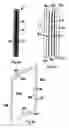 Fig. 07 - ELECTROSTATIC COALESCING DEVICE
