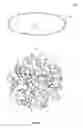 Fig. 03 - Extruded porous substrate and products using the same
