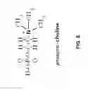 Fig. 09 - Generation of triacylglycerols from gums