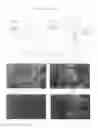 Fig. 02 - Ethylene Vinyl Acetate Based Polymer Foams with Low Density, Injection Preparation Method Thereof and a Material for Medical and Health-Care use