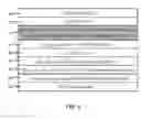 Fig. 08 - Polarized lens and method of making polarized lens