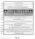 Fig. 09 - Polarized lens and method of making polarized lens