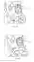 Fig. 06 - Vehicle electronic device support systems