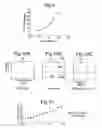 Fig. 06 - LIGHTING A CHOLESTERIC LIQUID CRYSTAL DISPLAY APPARATUS