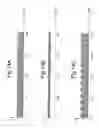 Fig. 08 - LIGHTING A CHOLESTERIC LIQUID CRYSTAL DISPLAY APPARATUS