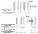 Fig. 01 - Method of decoding a macroblock based on a macroblock level of the macroblock