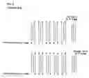 Fig. 05 - Method of decoding a macroblock based on a macroblock level of the macroblock