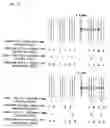 Fig. 12 - Method of decoding a macroblock based on a macroblock level of the macroblock
