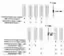 Fig. 01 - Method of decoding a macroblock based on a macroblock level of the macroblock