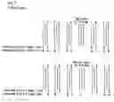 Fig. 06 - Method of decoding a macroblock based on a macroblock level of the macroblock