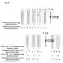Fig. 09 - Method of decoding a macroblock based on a macroblock level of the macroblock