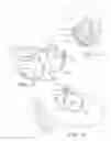 Fig. 09 - Reversible behind-the-head mounted personal audio set with pivoting earphone