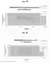 Fig. 09 - Anti-Alpha V Immunoliposome Composition, Methods, and Uses