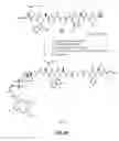 Fig. 08 - Gastrin releasing peptide compounds