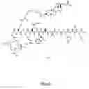 Fig. 43 - Gastrin releasing peptide compounds