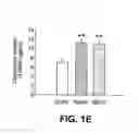 Fig. 04 - METHODS FOR IDENTIFYING COMPOUNDS THAT MODULATE PHB DOMAIN PROTEIN ACTIVITY AND COMPOSITIONS THEREOF