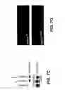 Fig. 12 - METHODS FOR IDENTIFYING COMPOUNDS THAT MODULATE PHB DOMAIN PROTEIN ACTIVITY AND COMPOSITIONS THEREOF