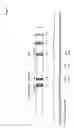 Fig. 02 - HIV VACCINE