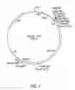 Fig. 02 - SYSTEM FOR RAPID PRODUCTION OF HIGH-TITER AND REPLICATION-COMPETENT ADENOVIRUS-FREE RECOMBINANT ADENOVIRUS VECTORS