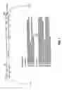 Fig. 02 - RECOMBINANT RSV VIRUS EXPRESSION SYSTEMS AND VACCINES