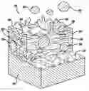 Fig. 01 - Method and apparatus for spray processing of porous medical devices