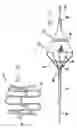 Fig. 09 - Method and apparatus for spray processing of porous medical devices