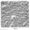 Fig. 04 - Unsupported palladium alloy membranes and methods of making same