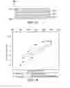 Fig. 09 - Multilayered composite proton exchange membrane and a process for manufacturing the same