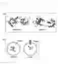 Fig. 02 - Single molecule-format real-time bioluminescence imaging probe