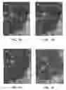 Fig. 02 - Antibody conjugates