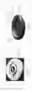 Fig. 02 - Flexible flying disc