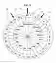 Fig. 06 - Secondary roulette game