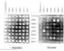 Fig. 01 - ZINC FINGER DOMAIN LIBRARIES