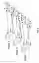 Fig. 03 - ZINC FINGER DOMAIN LIBRARIES