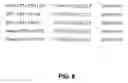 Fig. 07 - ZINC FINGER DOMAIN LIBRARIES