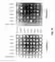 Fig. 11 - ZINC FINGER DOMAIN LIBRARIES