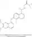 Fig. 511 - Compounds and methods of use
