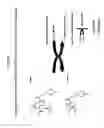 Fig. 07 - ANTIDOTES TO EXOGENOUS NEUROTOXIC AGENTS