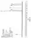 Fig. 04 - Tartrate salt of isofagomine and methods of use