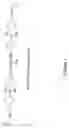 Fig. 02 - Composition of epoxy resin, aliphatic amine curing agent and halogenated amine