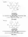 Fig. 43 - METHODS AND COMPOSITIONS FOR DETECTING PROMOTER ACTIVITY AND EXPRESSING FUSION PROTEINS