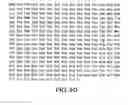 Fig. 45 - METHODS AND COMPOSITIONS FOR DETECTING PROMOTER ACTIVITY AND EXPRESSING FUSION PROTEINS