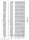 Fig. 85 - METHODS AND COMPOSITIONS FOR DETECTING PROMOTER ACTIVITY AND EXPRESSING FUSION PROTEINS