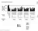 Fig. 08 - LNA MODIFIED PHOSPHOROTHIOLATED OLIGONUCLEOTIDES