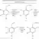 Fig. 28 - 3-substituted-6-aryl pyridines