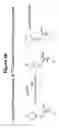 Fig. 06 - Isotopically Enriched N-Substituted Piperazine Acetic Acids And Methods For The Preparation Thereof