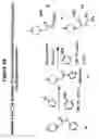 Fig. 07 - Isotopically Enriched N-Substituted Piperazine Acetic Acids And Methods For The Preparation Thereof