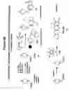 Fig. 08 - Isotopically Enriched N-Substituted Piperazine Acetic Acids And Methods For The Preparation Thereof
