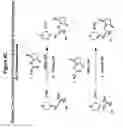 Fig. 09 - Isotopically Enriched N-Substituted Piperazine Acetic Acids And Methods For The Preparation Thereof