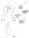 Fig. 02 - Cardiac rhythm management system with exercise test interface